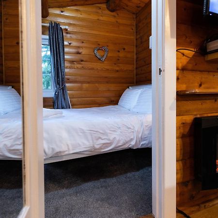 Mountain View Log Cabin In Snowdonia Nr Coed Y Brenin Tanygrisiau Екстериор снимка