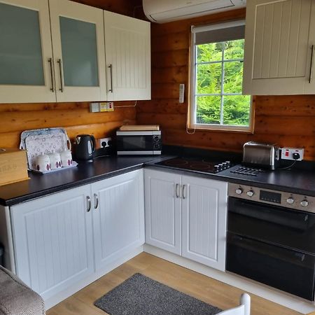 Mountain View Log Cabin In Snowdonia Nr Coed Y Brenin Tanygrisiau Екстериор снимка