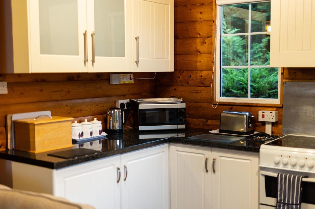 Mountain View Log Cabin In Snowdonia Nr Coed Y Brenin Tanygrisiau Екстериор снимка