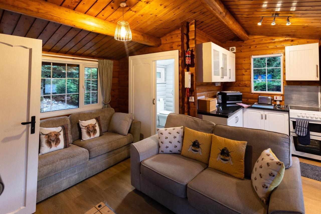 Mountain View Log Cabin In Snowdonia Nr Coed Y Brenin Tanygrisiau Екстериор снимка