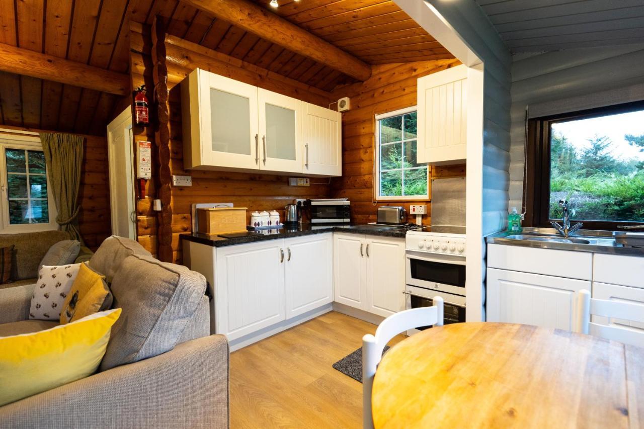 Mountain View Log Cabin In Snowdonia Nr Coed Y Brenin Tanygrisiau Екстериор снимка